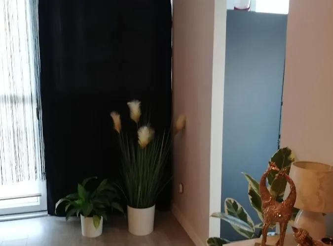 Pansiyon Kawalerka - Jelenia Gora, Dziel. Zabobrze Jelenia Gora