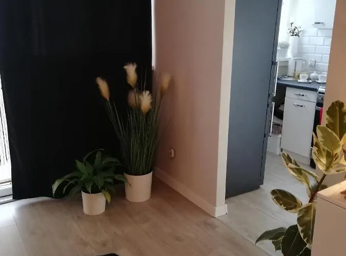 Pansiyon Kawalerka - Jelenia Gora, Dziel. Zabobrze